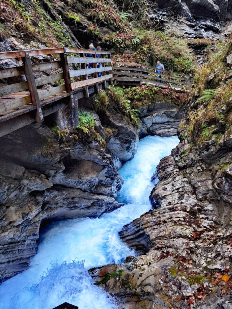 So führt der Steig bei der Wimbachklamm Wanderung am tosenden Wasser entlang