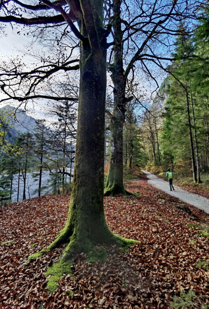 Wimbachklamm Wanderung