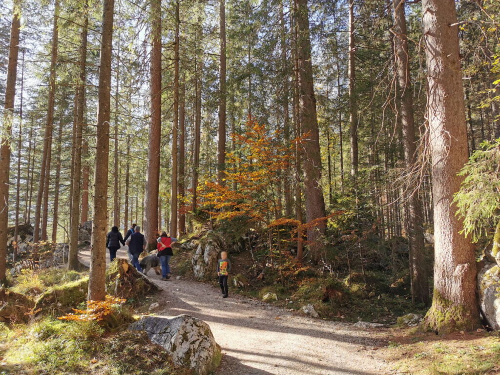 Auf dem breiten Wanderweg durch den Zauberwald Ramsau wandern