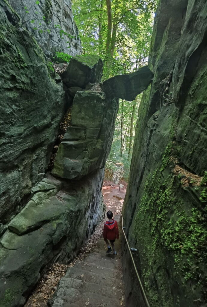 Aufsehenerregende Klamm in der Eifel - die Teufelsschlucht