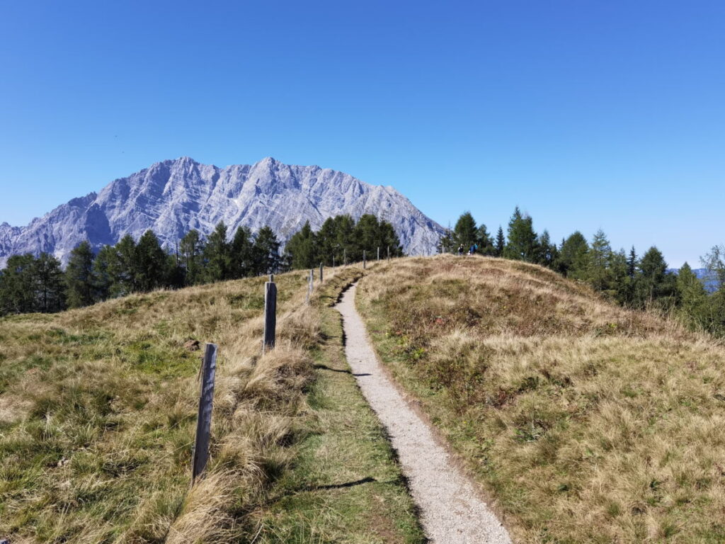 Die letzten Meter zum Feuerpalfen wandern