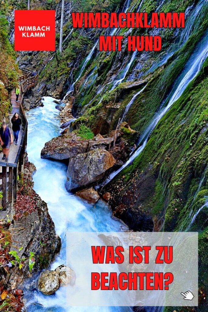 Wimbachklamm mit Hund